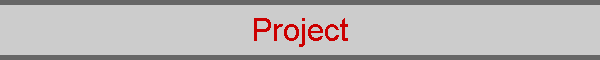 Project