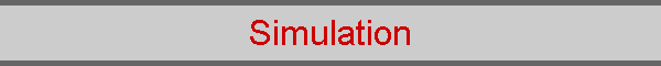 Simulation